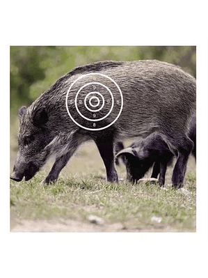 Target Papel De Tiro Al Blanco Jabali 44Cm X 44Cm Practica