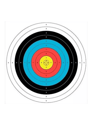 TARGET PAPEL DE TIRO AL BLANCO 60 CM X 60 CM 