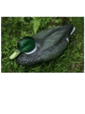 SEÑUELO DE CAZA PATO REALISTA FLOTADOR ESTANQUE AGUA