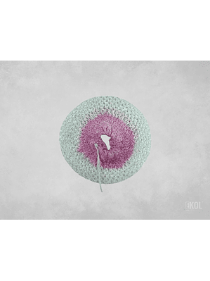  Camisa Lampara  Camping 1 Amarra