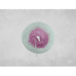  Camisa Lampara  Camping 1 Amarra