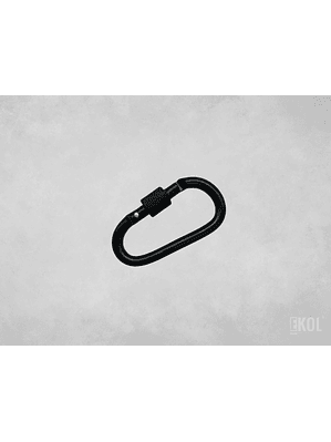 Mosquetón Climbing Technology Aluminio