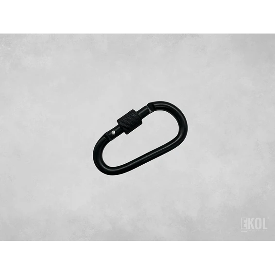 Mosquetón Climbing Technology Aluminio 2