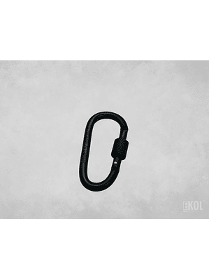 Mosquetón Climbing Technology Aluminio