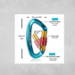 Mosquetón Climbing Resistente Profesional 25 Kn Multiuso - Miniatura 7