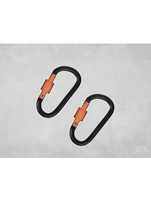 Mosquetón Climbing Technology Aluminio