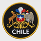 Parche Táctico Escudo De Chile Bordado 8x8 cm Para Coser - Miniatura 2