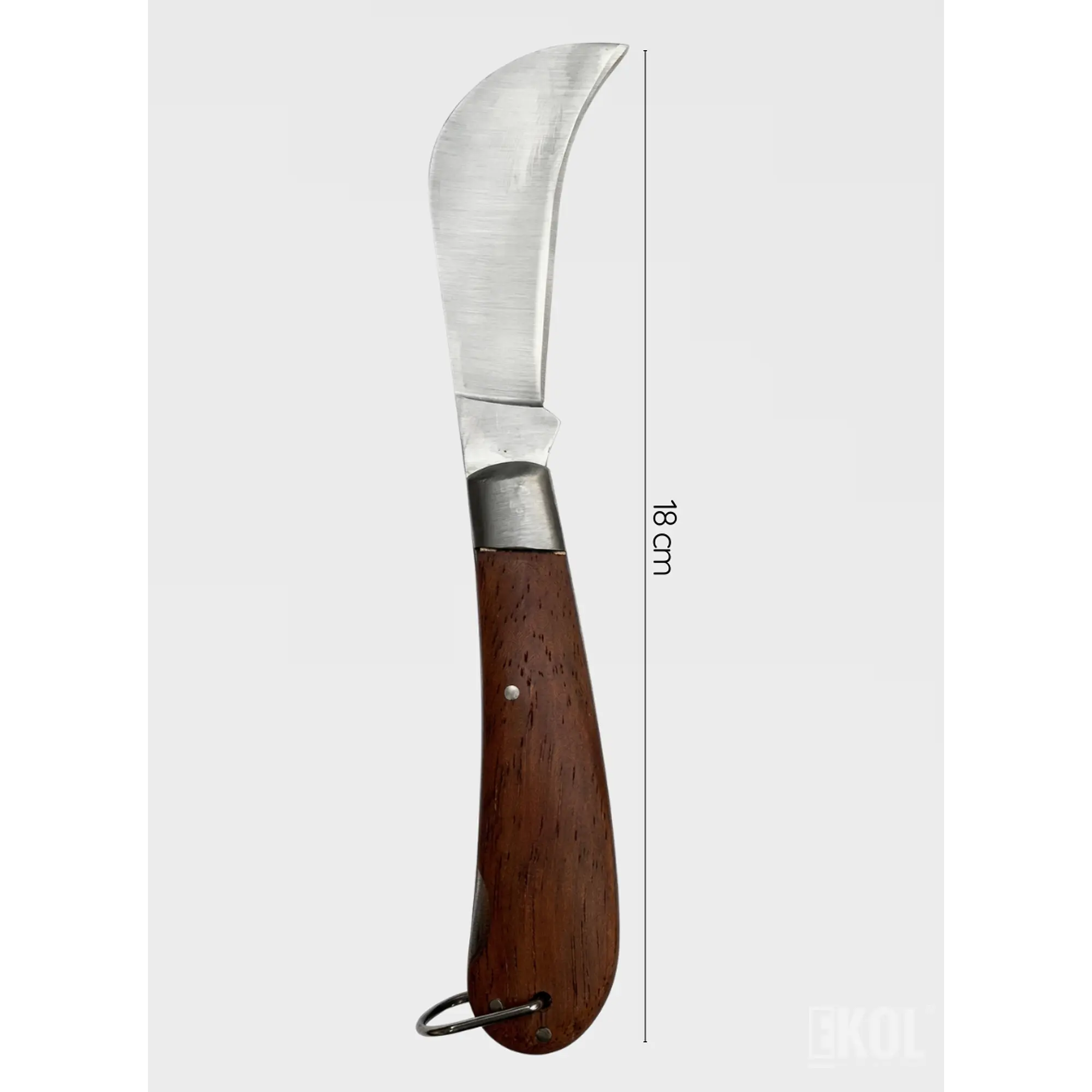 Navaja Cortapluma Corvo 18cm Mango Madera Acero Inoxidable 3