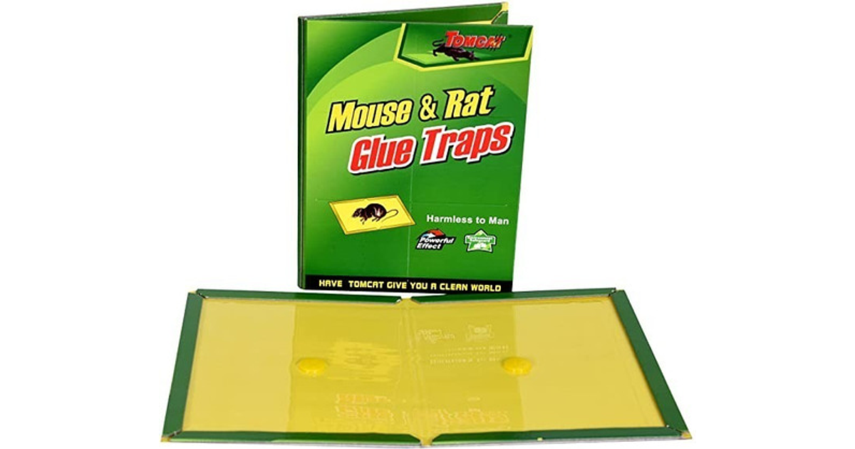 Pack Laminas Trampa Atrapa Rata Ratón Pegamento Ekolmac