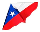 Cometa Volantin Chile + Hilo 420 Metros Condor N10 - Miniatura 2