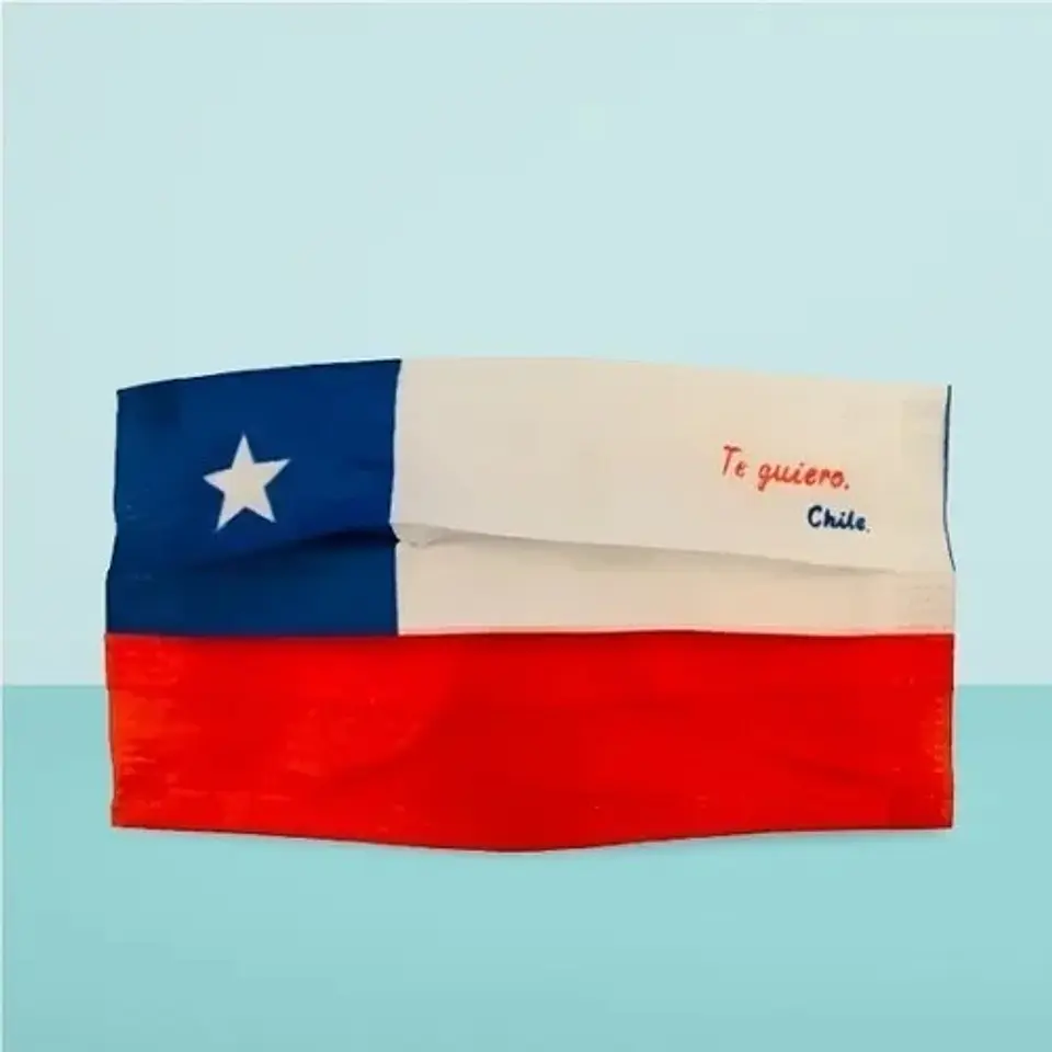 Mascarillas Bandera Chile Edicion Limitada Pack 20 Unidades  5