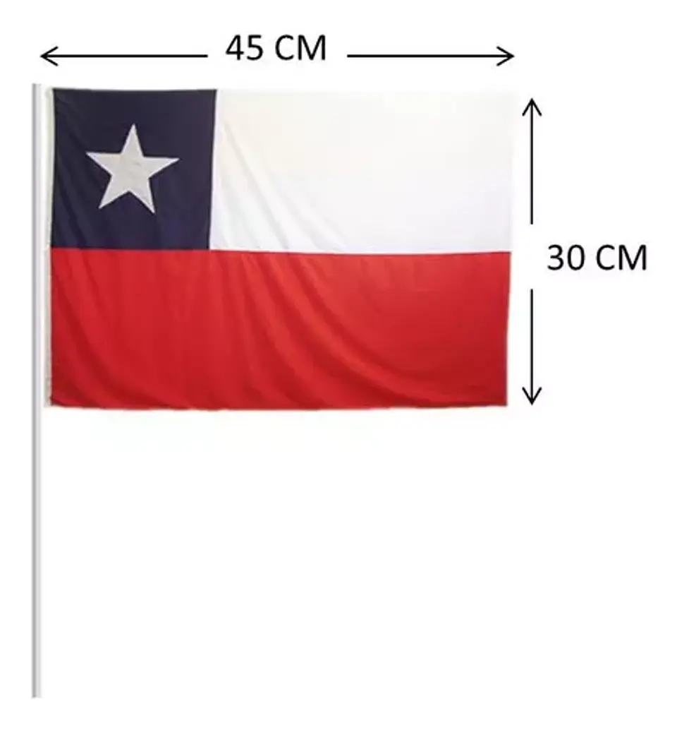 Pack 12 Banderas Chile 30 X 45 Cm Fiestas Patrias 2