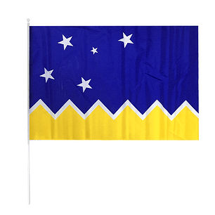 Bandera De La Región Magallanes 60x90 Cm Palito X12 Uni