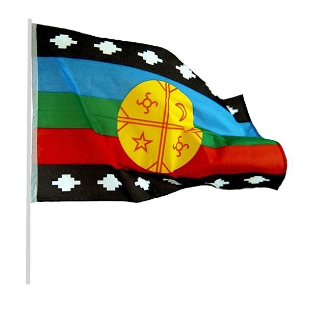 Bandera Mapuche 60x90 Cm Fiestas Patrias x12 Unidades