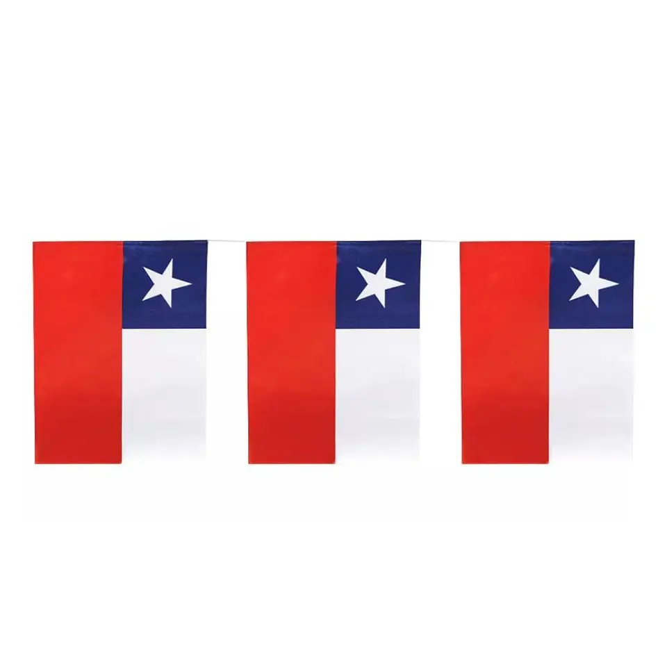 Guirnalda Tricolor Bandera Fiestas Patrias Papel 10 Mts 1