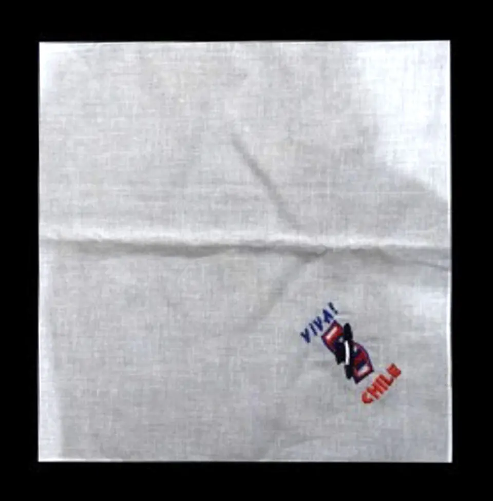 Pack 12 Pañuelos Diseño Bordado Viva Chile Fiestas Patrias 1