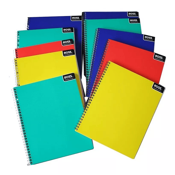 10 Cuadernos Universitarios Ross 5mm 100 Hojas 1