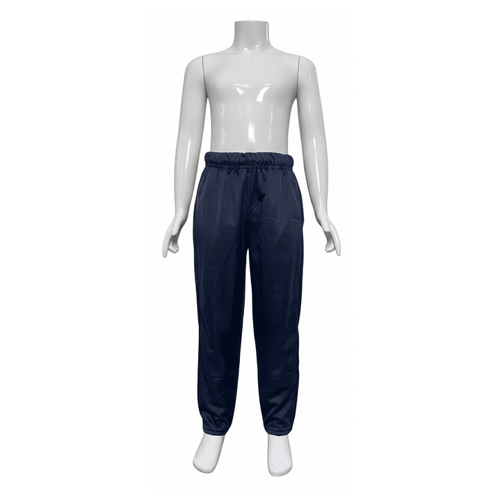 Pantalón Buzo Fantasía Niño Niña Unisex Colegio 6