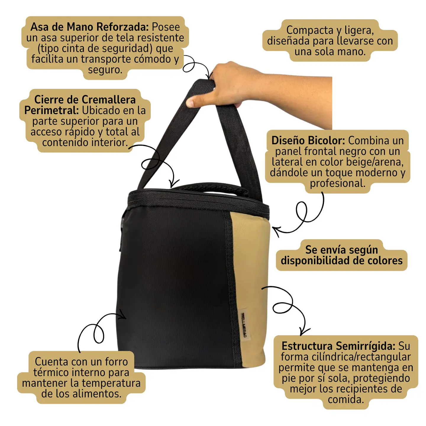 Bolso Térmico Lonchera Escolar Ejecutiva Diseño Bicolor Semirrígido 3