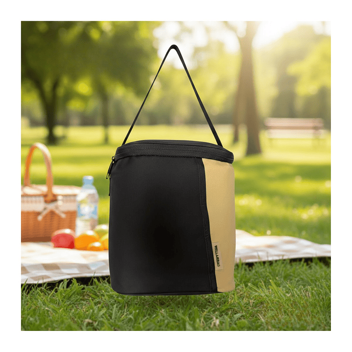 Bolso Térmico Lonchera Escolar Ejecutiva Diseño Bicolor Semirrígido 6