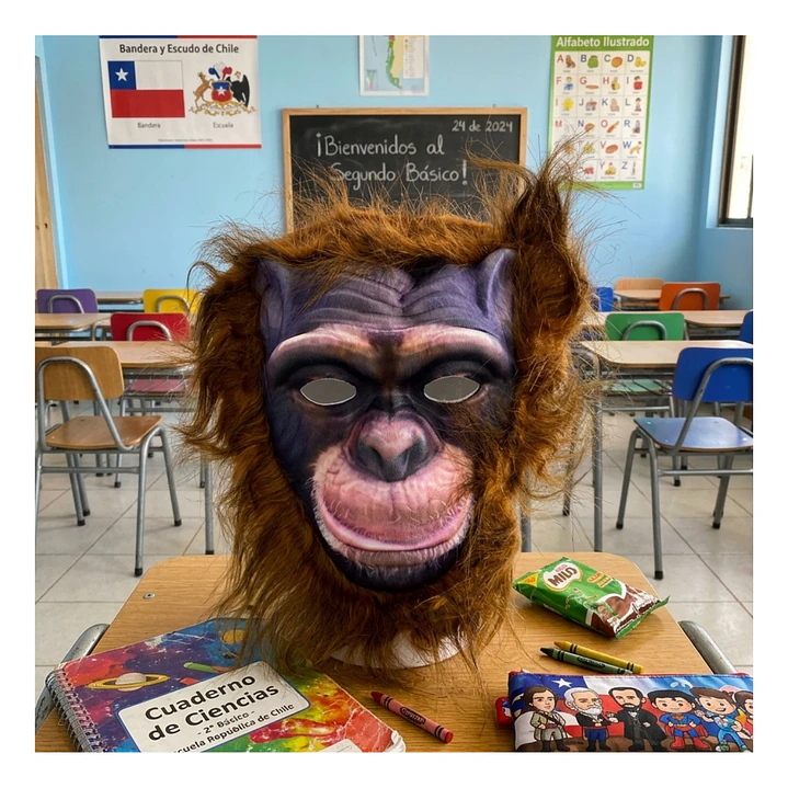 Máscara Animales Salvajes  Infantiles Celebraciones Fiestas 10