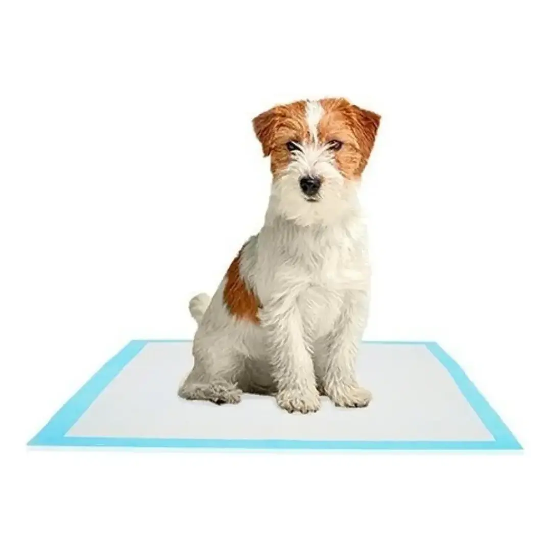 Pañales Tipo Sabanillas Mascotas Perros Y Gato 90x60 Cms 3