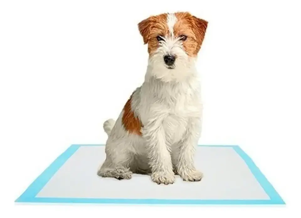 Pañales Tipo Sabanillas Mascotas Perros Y Gato 90x60 Cms 3