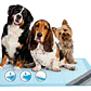 Pañales Tipo Sabanillas Mascotas Perros Y Gato 90x60 Cms - thumbnail 1