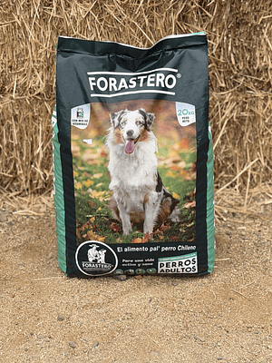 Forastero adulto 20Kg