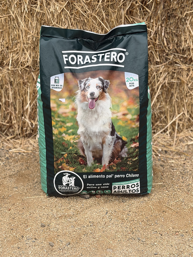 Forastero adulto 20Kg 1