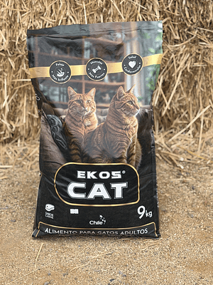 Ekos kat 9 Kilos