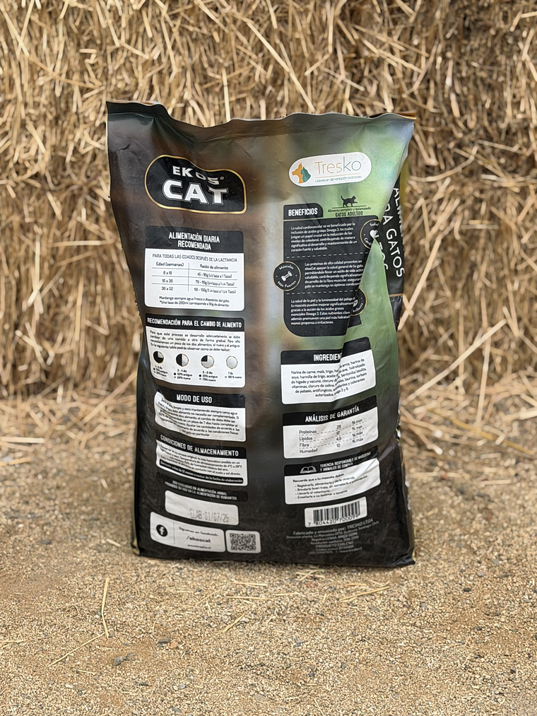 Ekos kat 9 Kilos 3