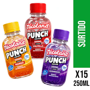 Punch Drink Surtida 250 ml
