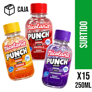 Punch Drink Surtida 250 ml