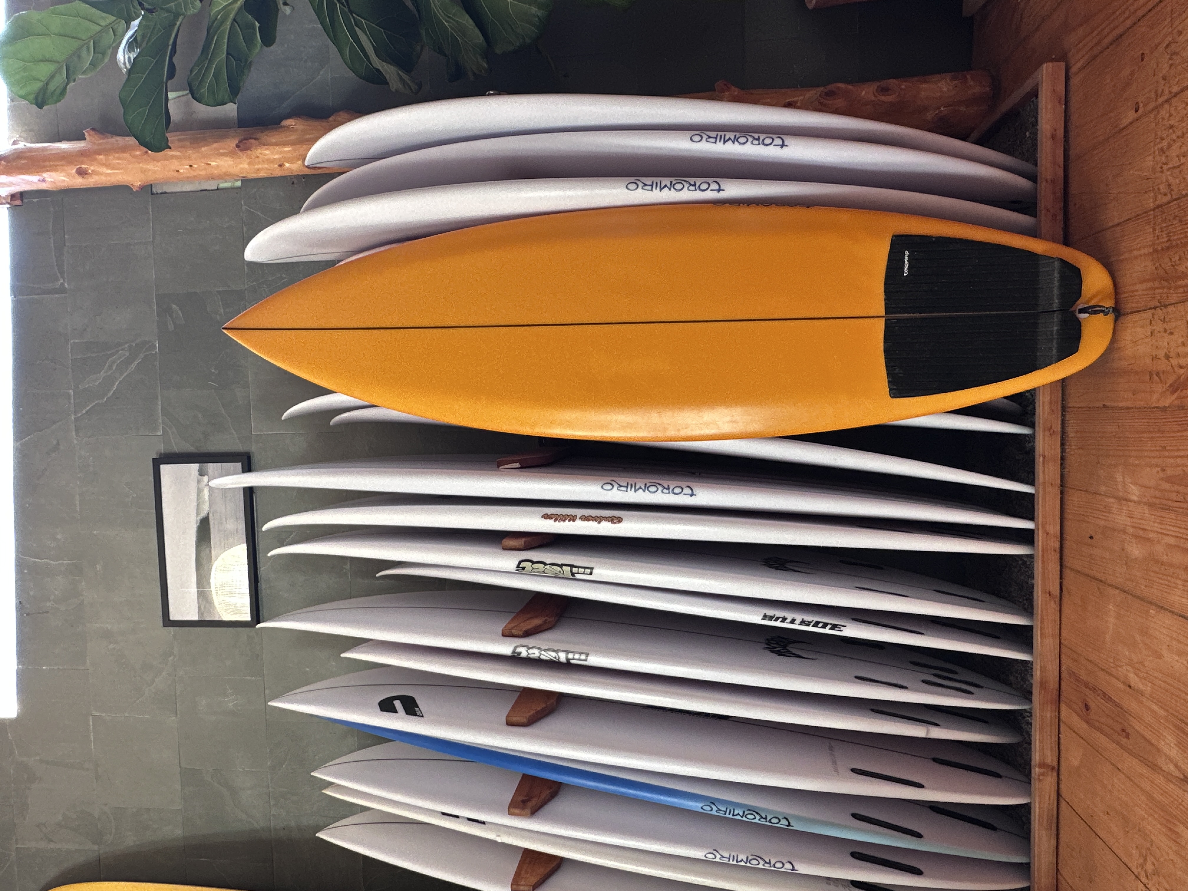 Step deck-Toromirosurf
