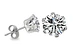 Aros Punto de Luz 3mm o 5mm Acero Quirúrgico Zirconia  - Miniatura 1