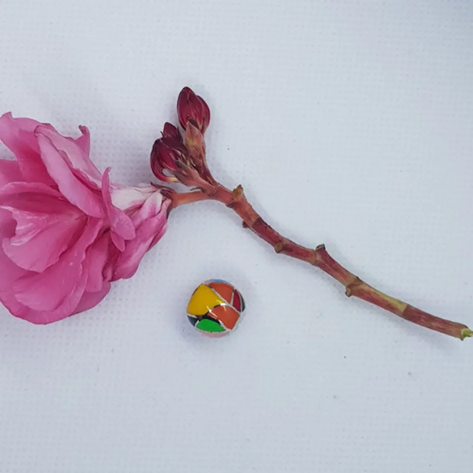 Charm dije abalorio bola de colores 925 color estilo Brito estilo Pandora 2