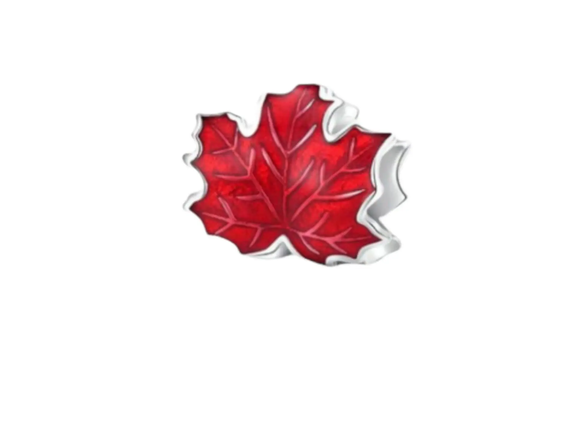 Charm dije abalorio hoja de maple roja plata fina 925 1