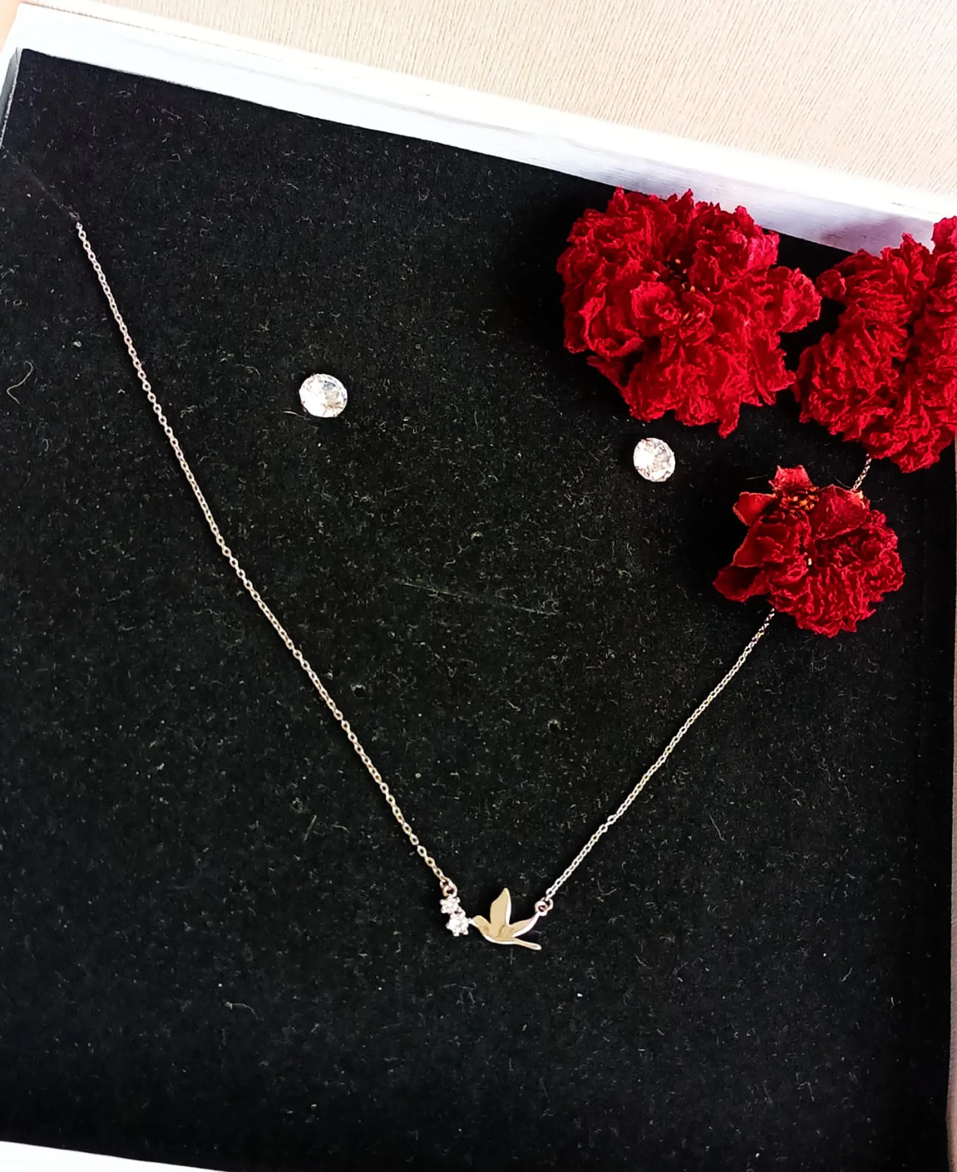 Set Conjunto Cadena Paloma Paz Aros Punto De Luz Plata 925 13