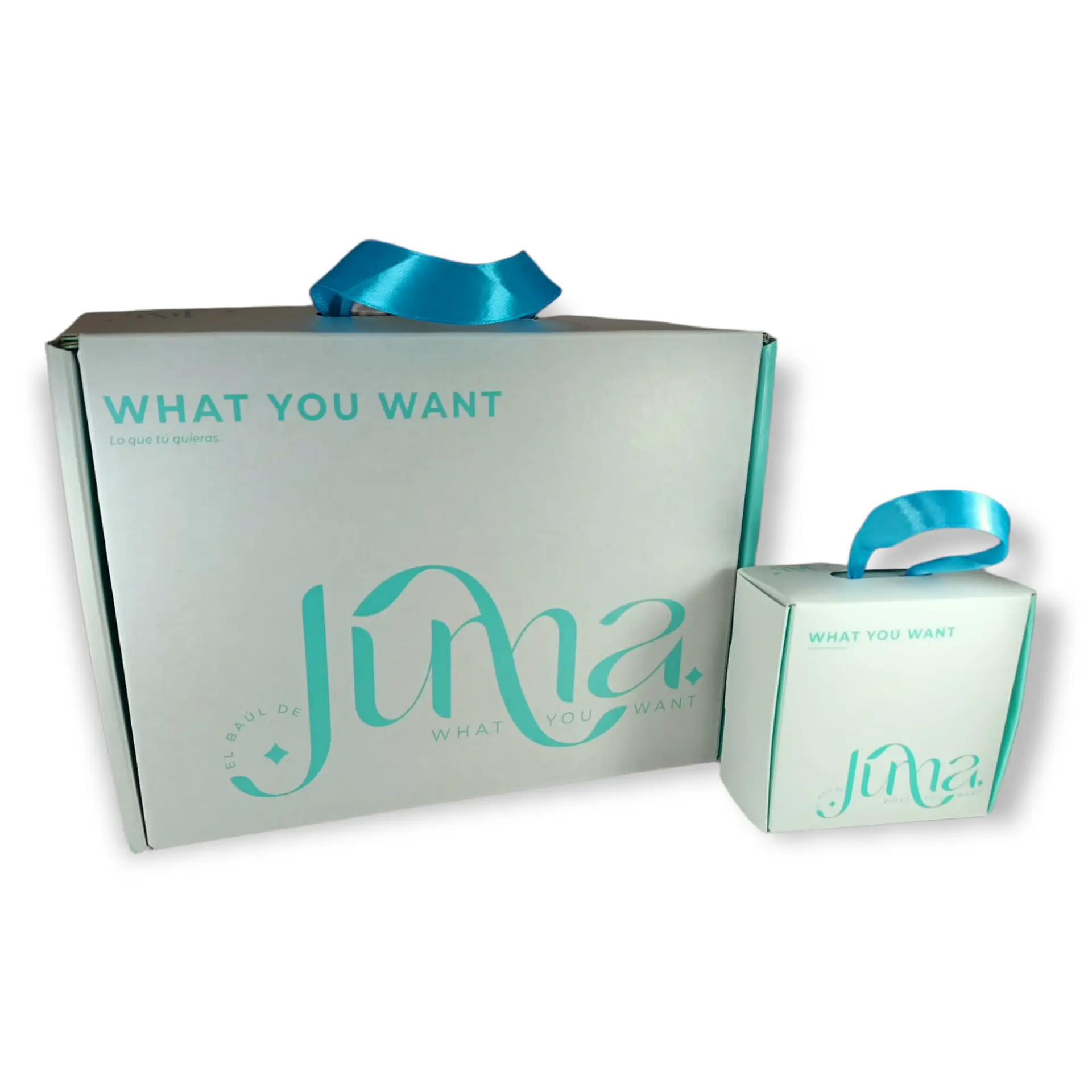 Anillos plumas alas zirconia plata 925 ajustable 4