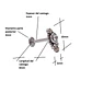 Piercing Oreja Tragus Conch Labret Modelo Bindi a Hipoalergénico Unidad - Miniatura 10
