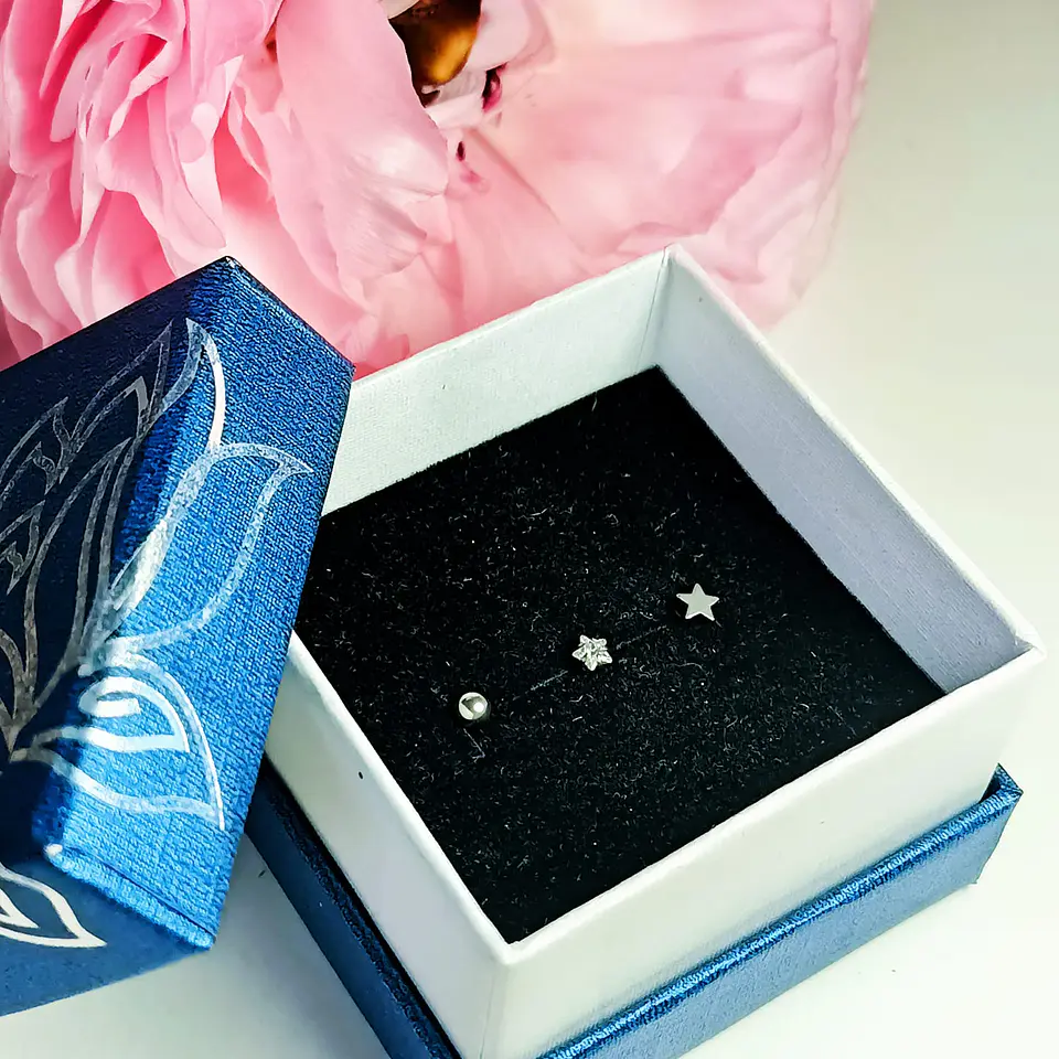 Set Piercing Acero Quirúrgico Modelo Estrella Nostril Labret Punto De Luz  2