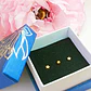 Set Piercing Chapado En Oro 18k Nostril Labret Set Estrella - Miniatura 5