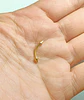 Piercing Ceja Labret Daith Chapado En Oro 18k Punk Tragus - Miniatura 5