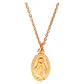 Colgante Virgen Milagrosa Maria De Los Rayos Chapada Oro 18k - Miniatura 1