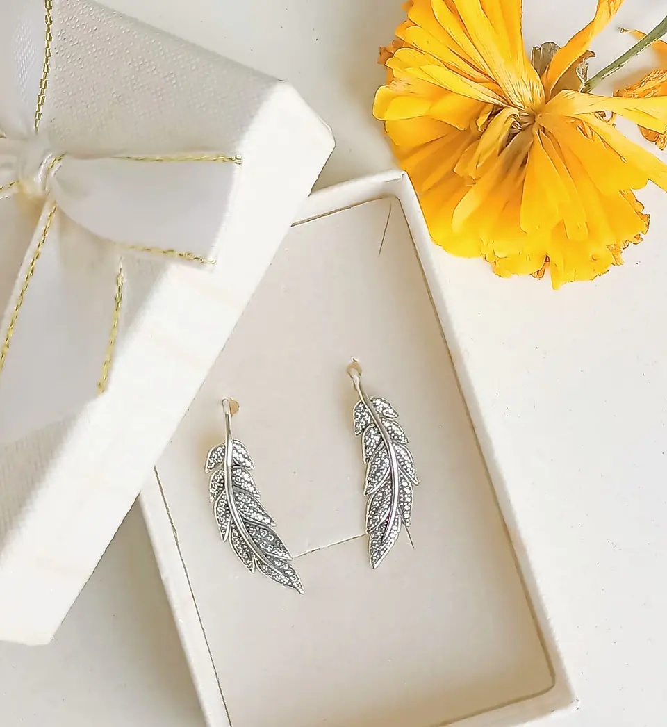 Pendientes alas Plata fina ley S925 incrustaciones de circon tipo pavé 2