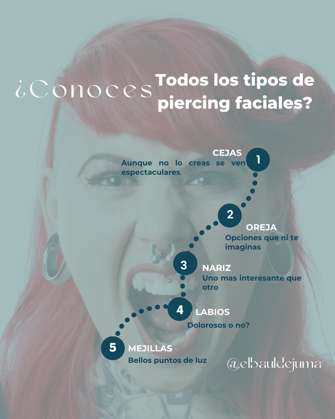 Beta 015420001 - Juego De Extractores De 2/3 Patas Y Expansores Para Interiores (Referencia 1542/1)