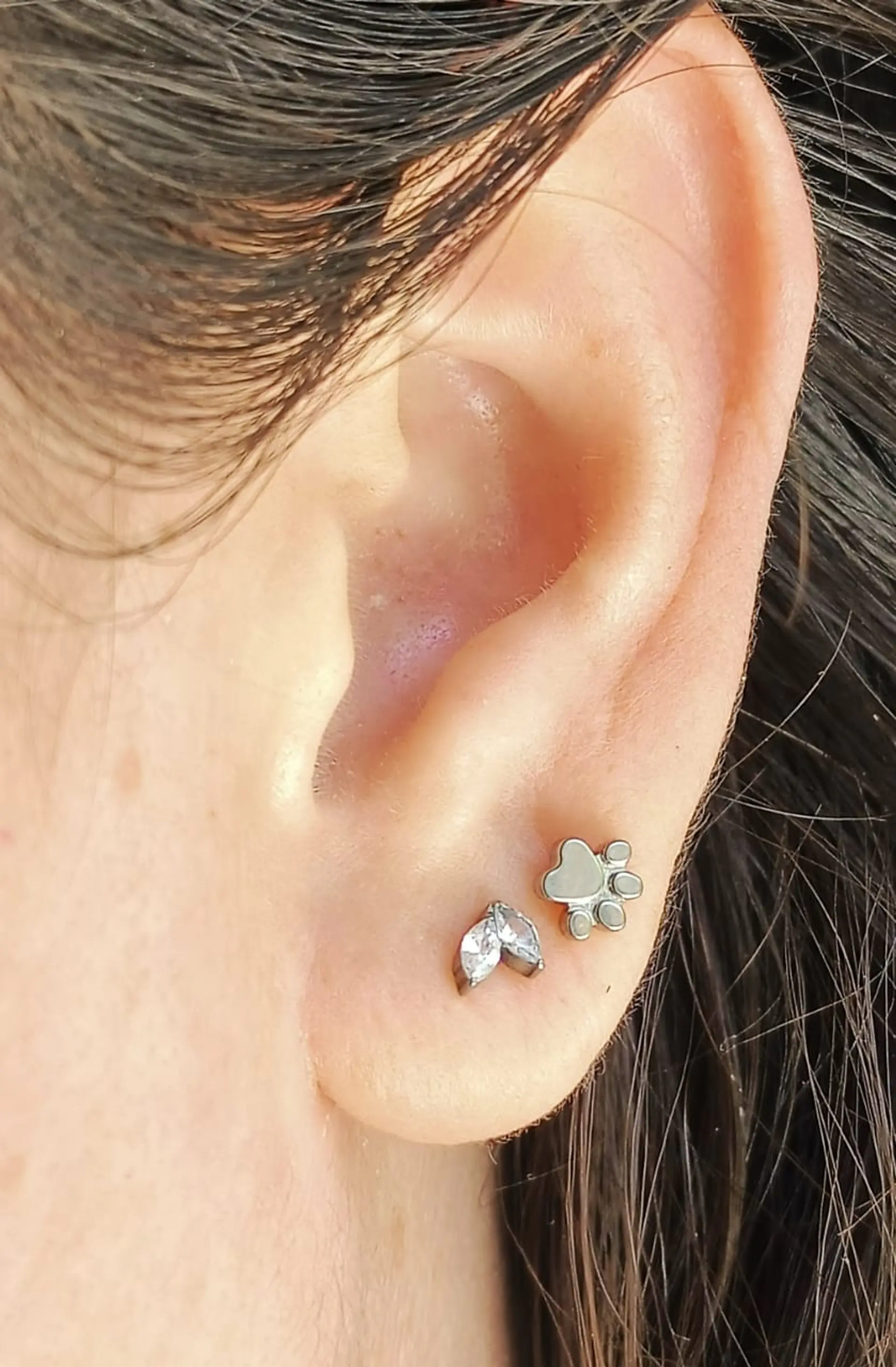 Piercing Labret F136 Titanio Huella Perro Gato 8mm 3