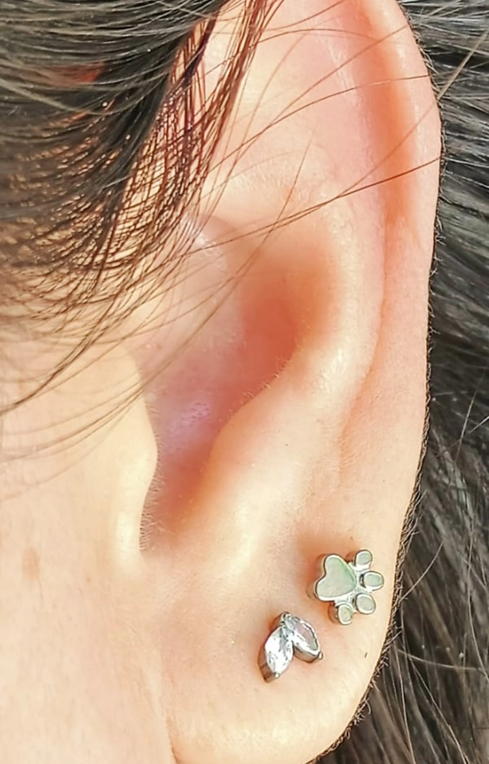 Piercing Labret F136 Titanio Huella Perro Gato 8mm 5