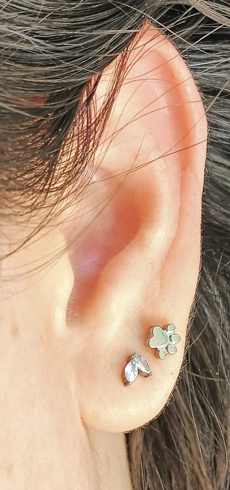 Piercing Labret F136 Titanio Huella Perro Gato 8mm 5